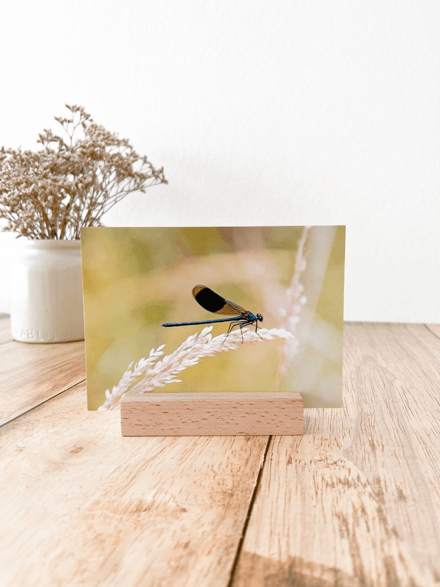 Porte photo/carte-postale en bois