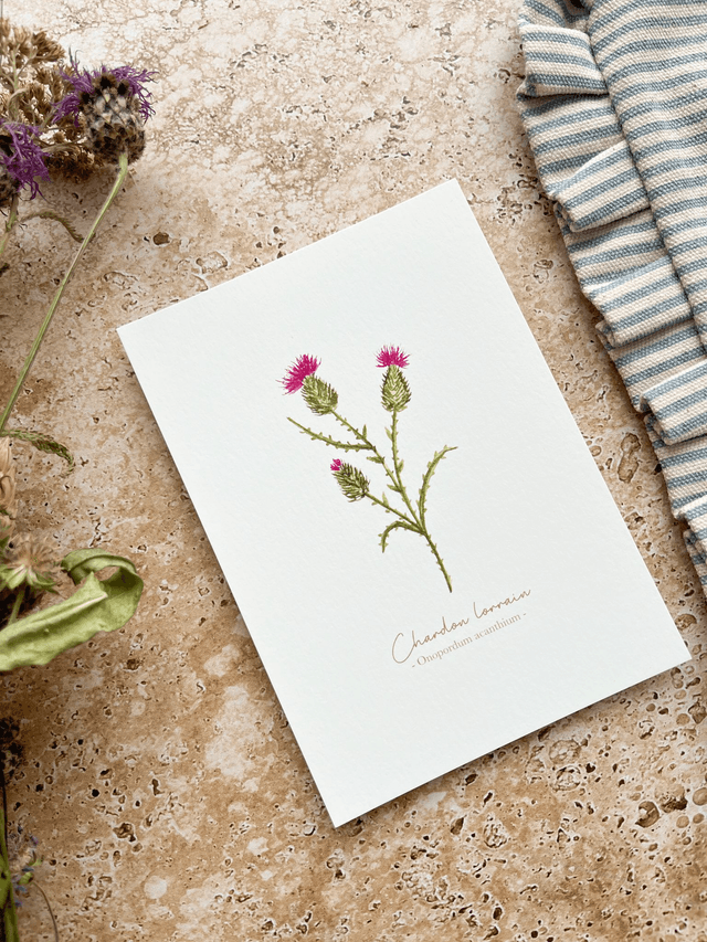 Carte postale aquarelle - Chardon lorrain