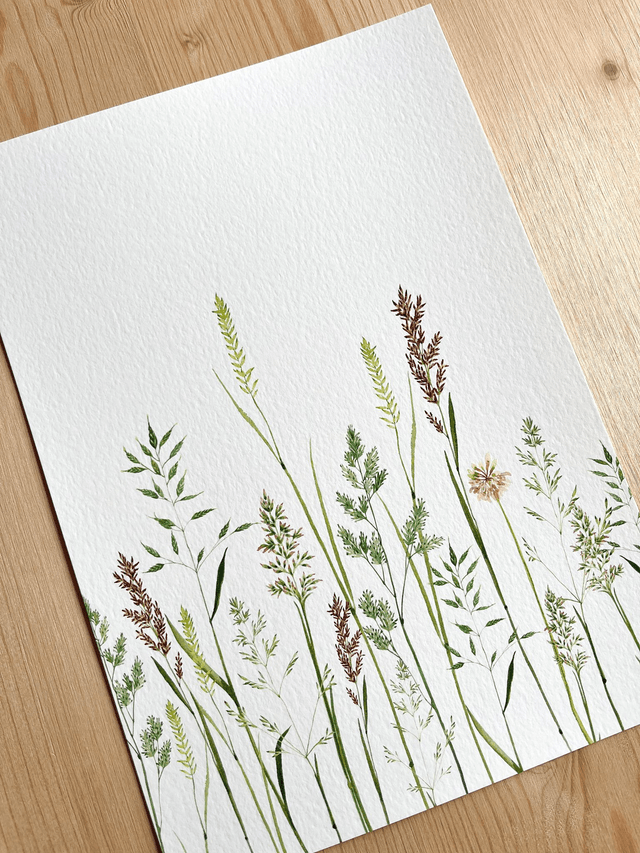 Affiche aquarelle A4 - GRAMINÉES