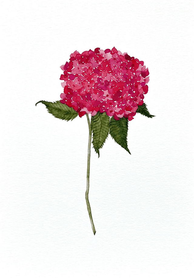 Affiche aquarelle A5 - Fleur rose minimaliste 