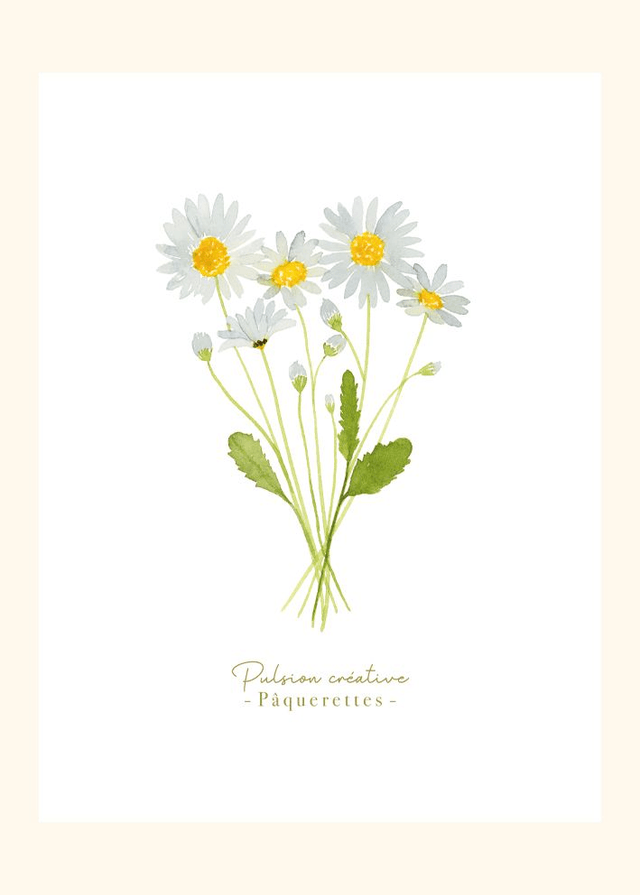 Affiche aquarelle 30x40 cm PÂQUERETTES (Sur commande)