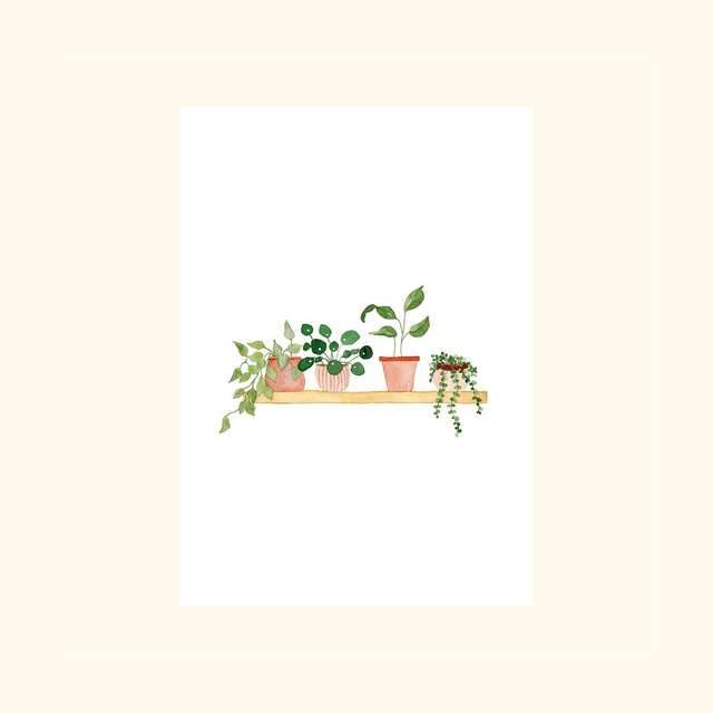 Affiche aquarelle A4 - Etagère de plantes