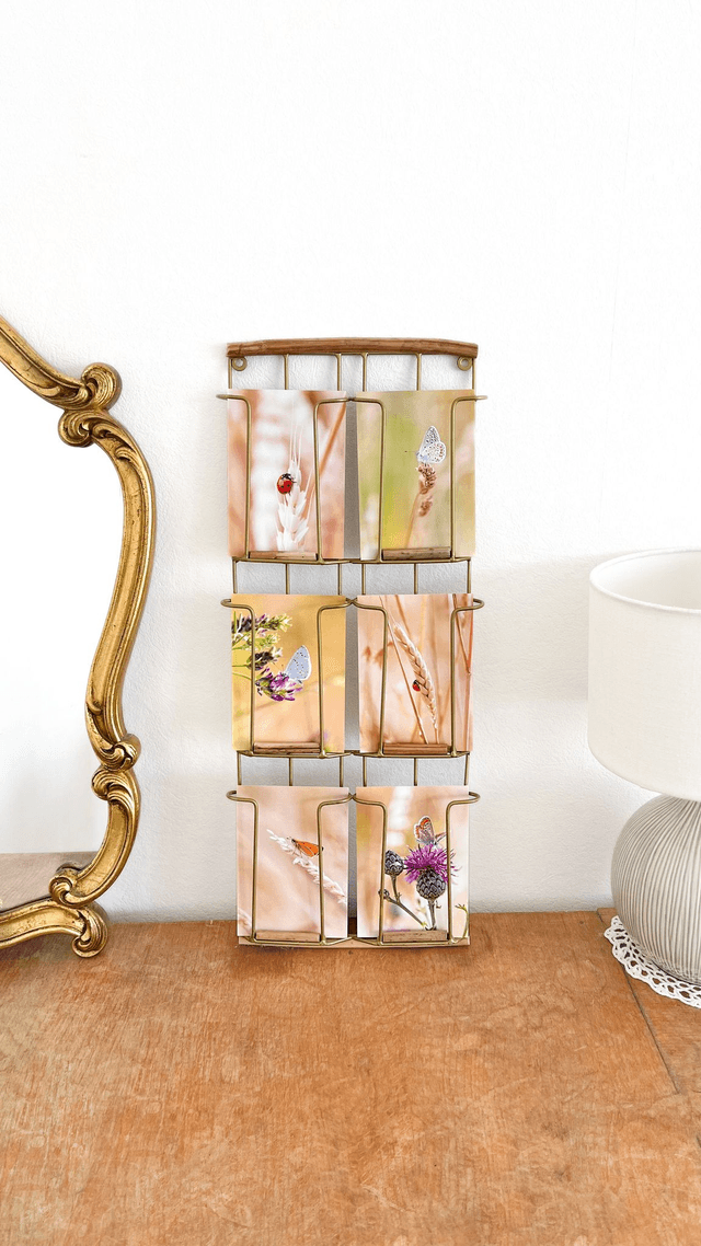 Carte postale photographie #8 Papillon