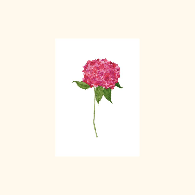 Affiche aquarelle A5 - Fleur rose minimaliste 