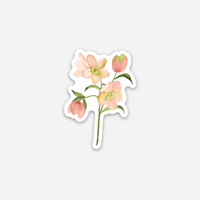 Sticker vinyle Hellebores