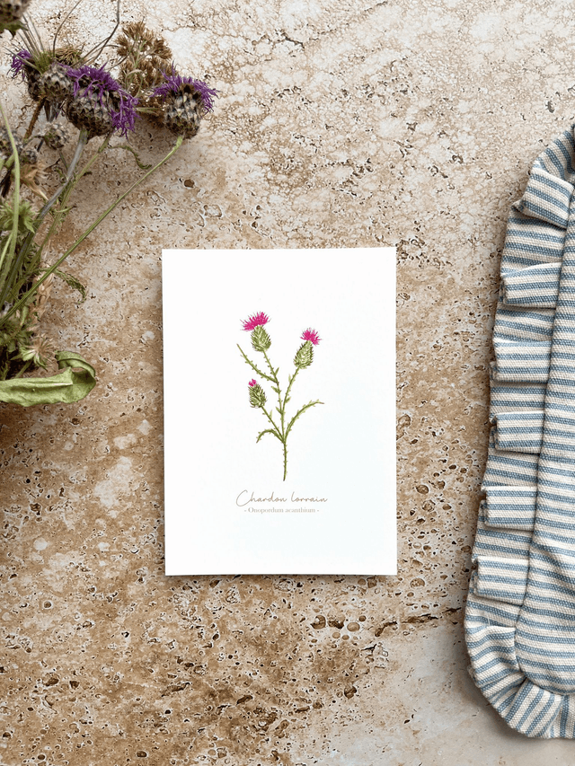 Carte postale aquarelle - Chardon lorrain