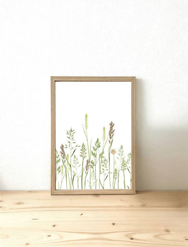Affiche aquarelle A4 - GRAMINÉES