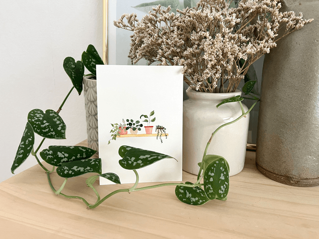 Carte postale aquarelle - Etagère de plantes vertes