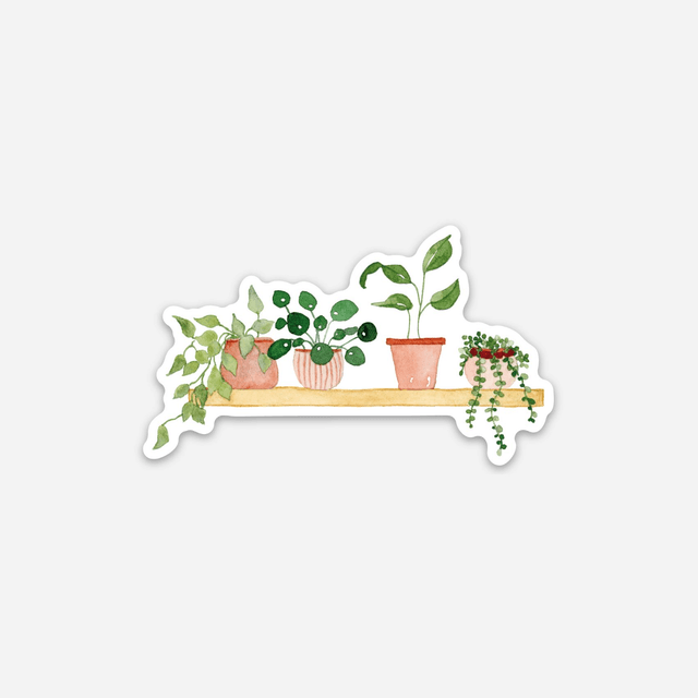 Sticker vinyle Etagère de plantes