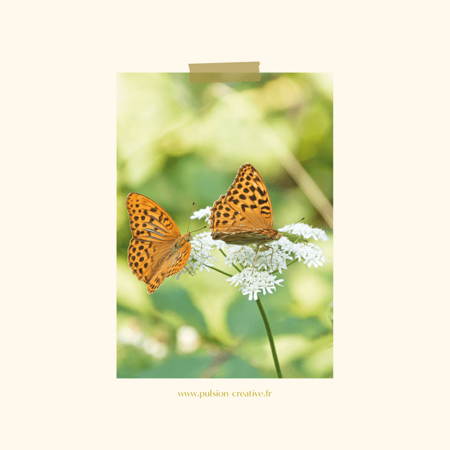 Carte postale photographie #9 Duo papillons