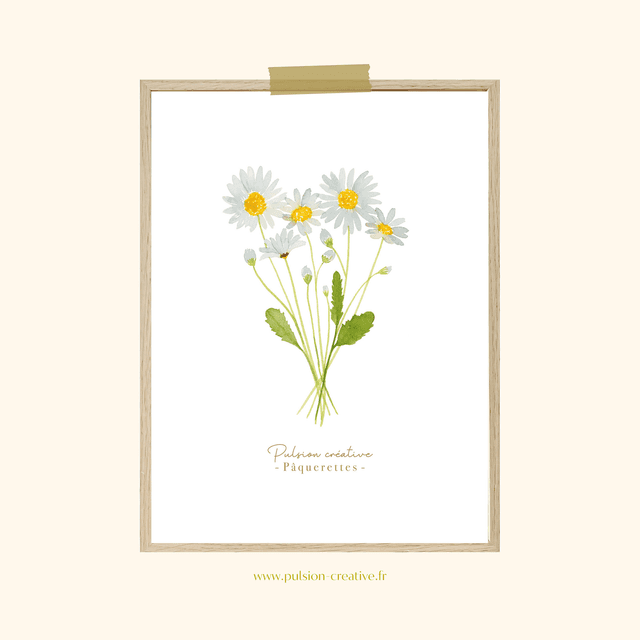Affiche aquarelle 30x40 cm PÂQUERETTES (Sur commande)