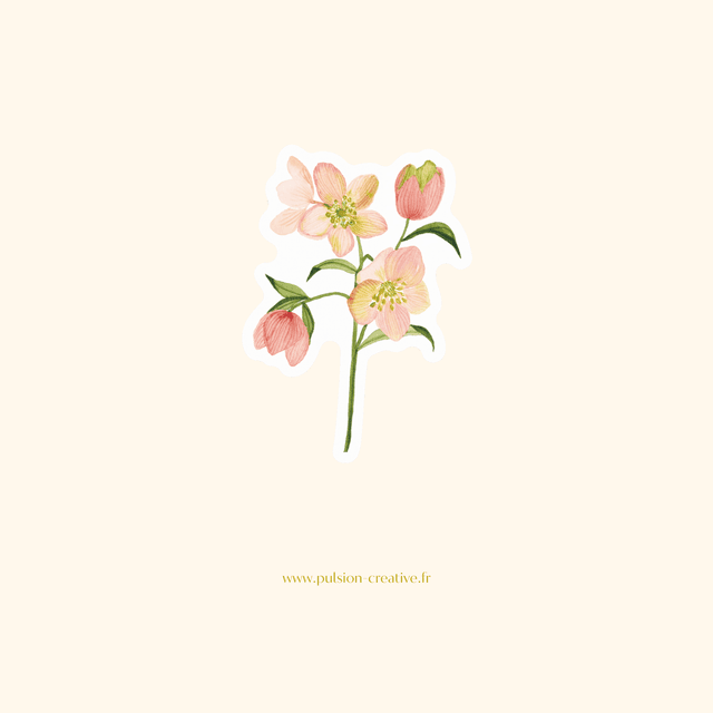 Sticker vinyle Hellebores